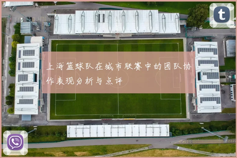 上海篮球队在城市联赛中的团队协作表现分析与点评